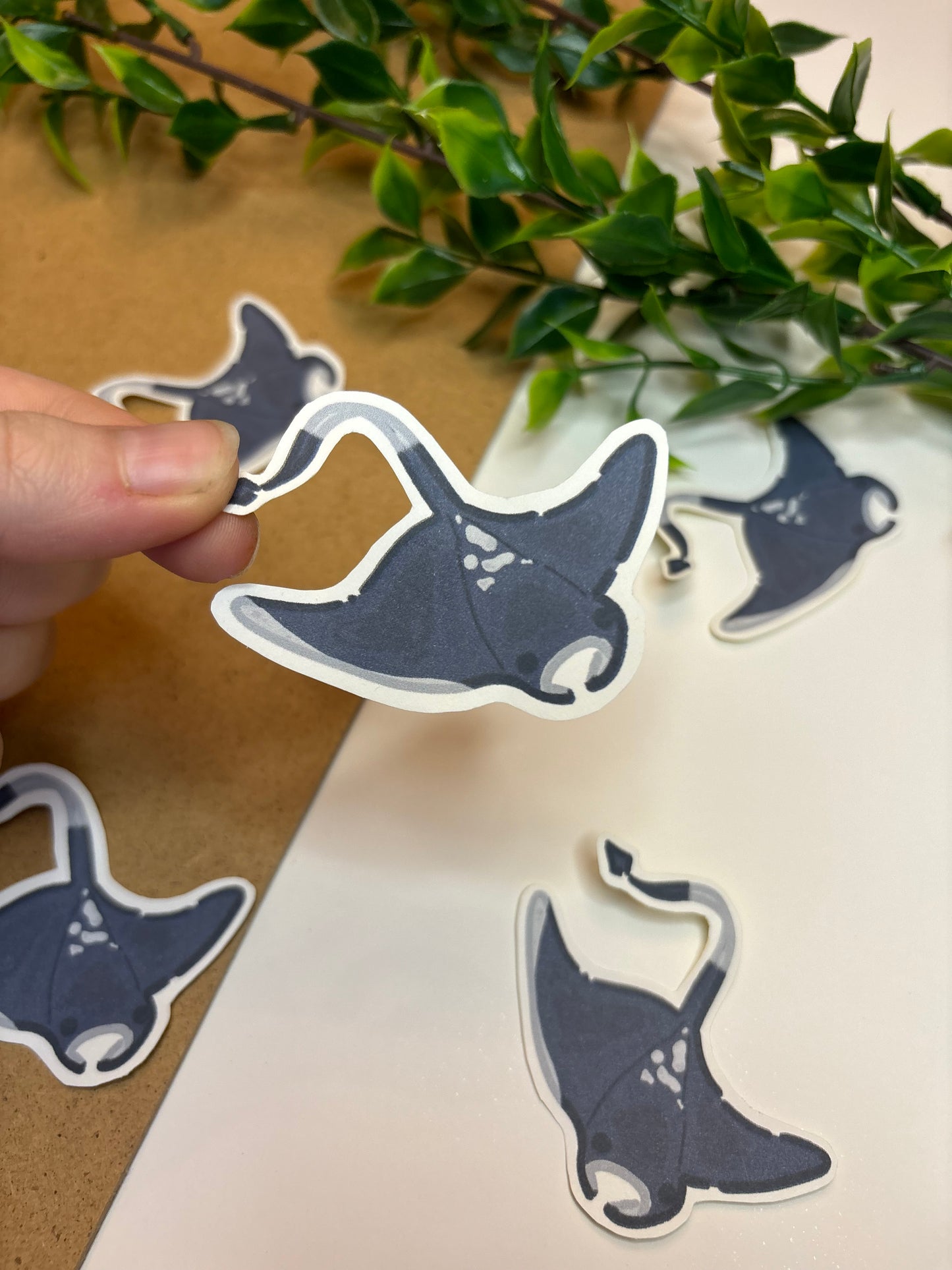 Mantaray ˗ˋˏ ♡ ˎˊ˗ Sticker