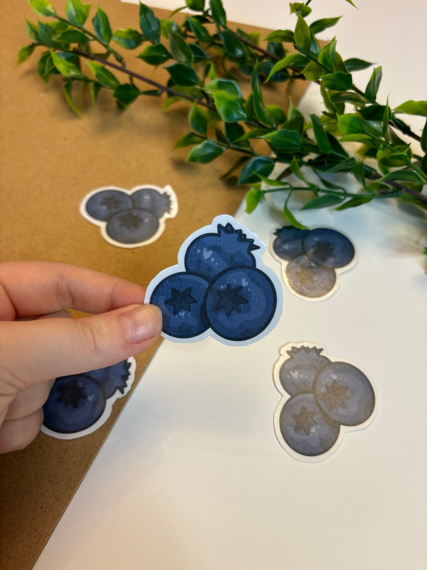 Blueberries ˗ˋˏ ♡ ˎˊ˗ Sticker