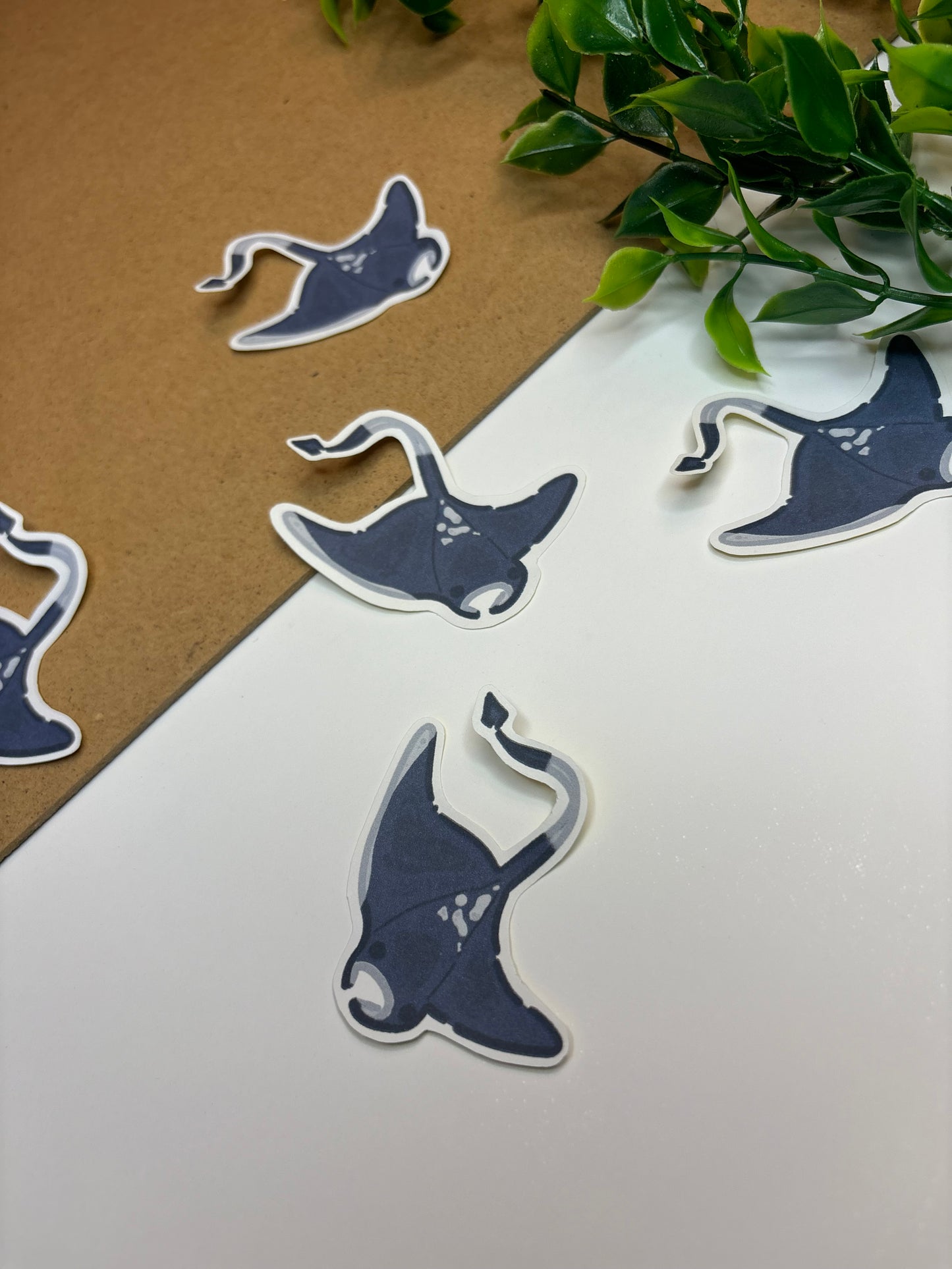 Mantaray ˗ˋˏ ♡ ˎˊ˗ Sticker