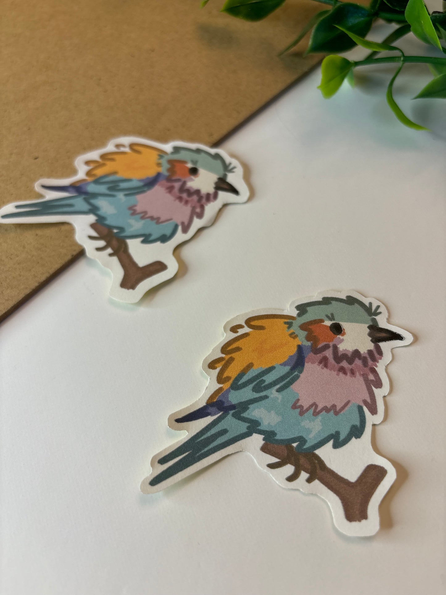 Roller Bird ˗ˋˏ ♡ ˎˊ˗ Sticker