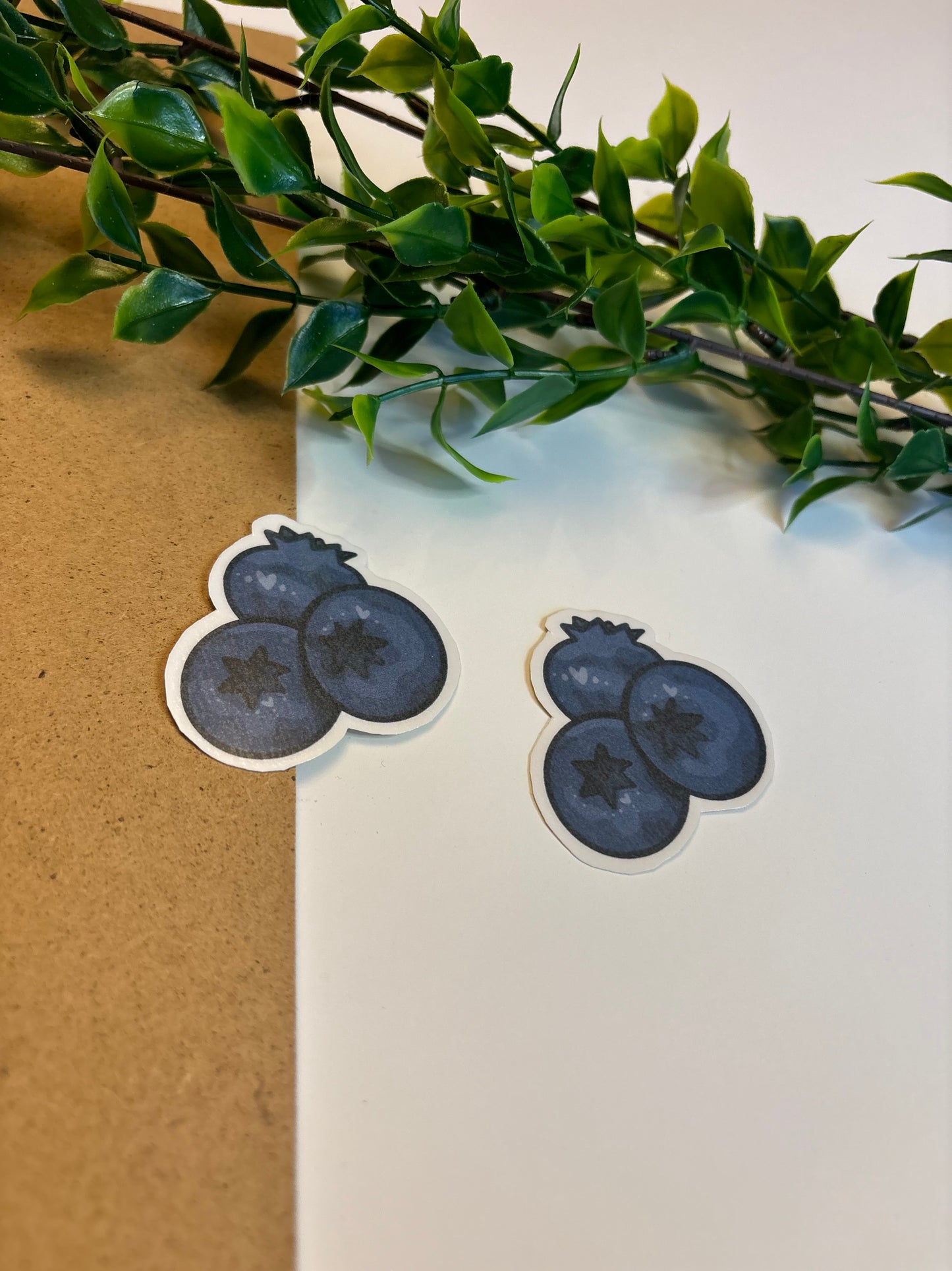 Blueberries ˗ˋˏ ♡ ˎˊ˗ Sticker