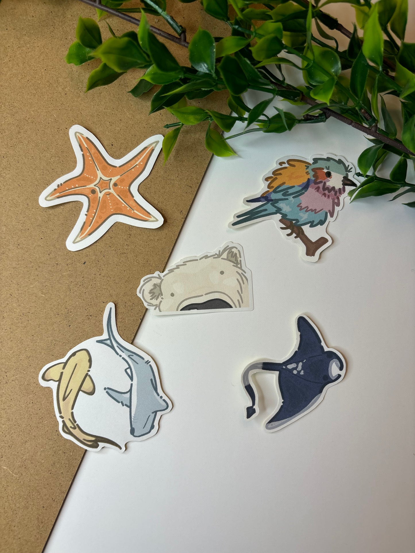 Polar Bear ˗ˋˏ ♡ ˎˊ˗ Sticker