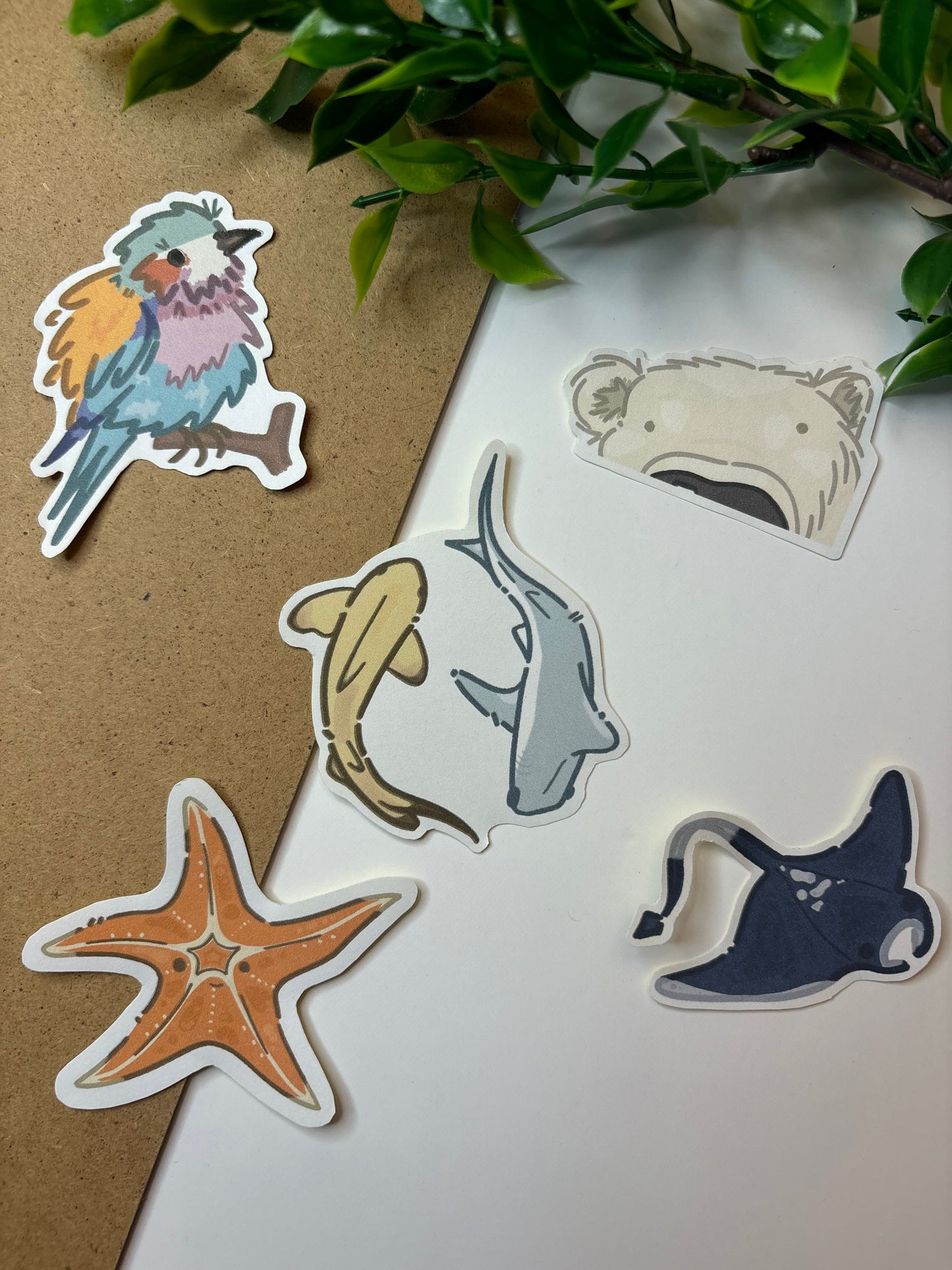 Shark Duo ˗ˋˏ ♡ ˎˊ˗ Sticker
