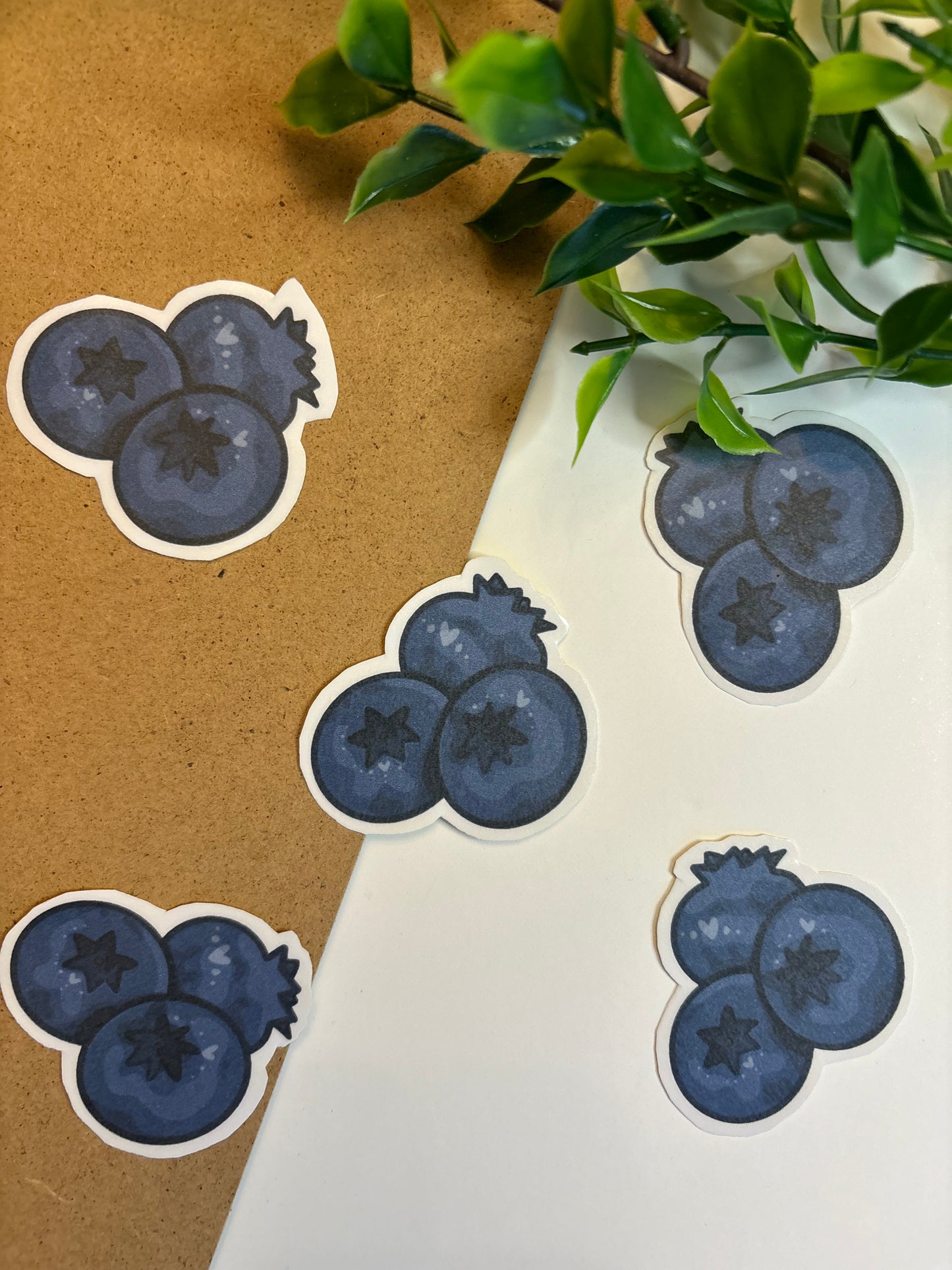 Blueberries ˗ˋˏ ♡ ˎˊ˗ Sticker