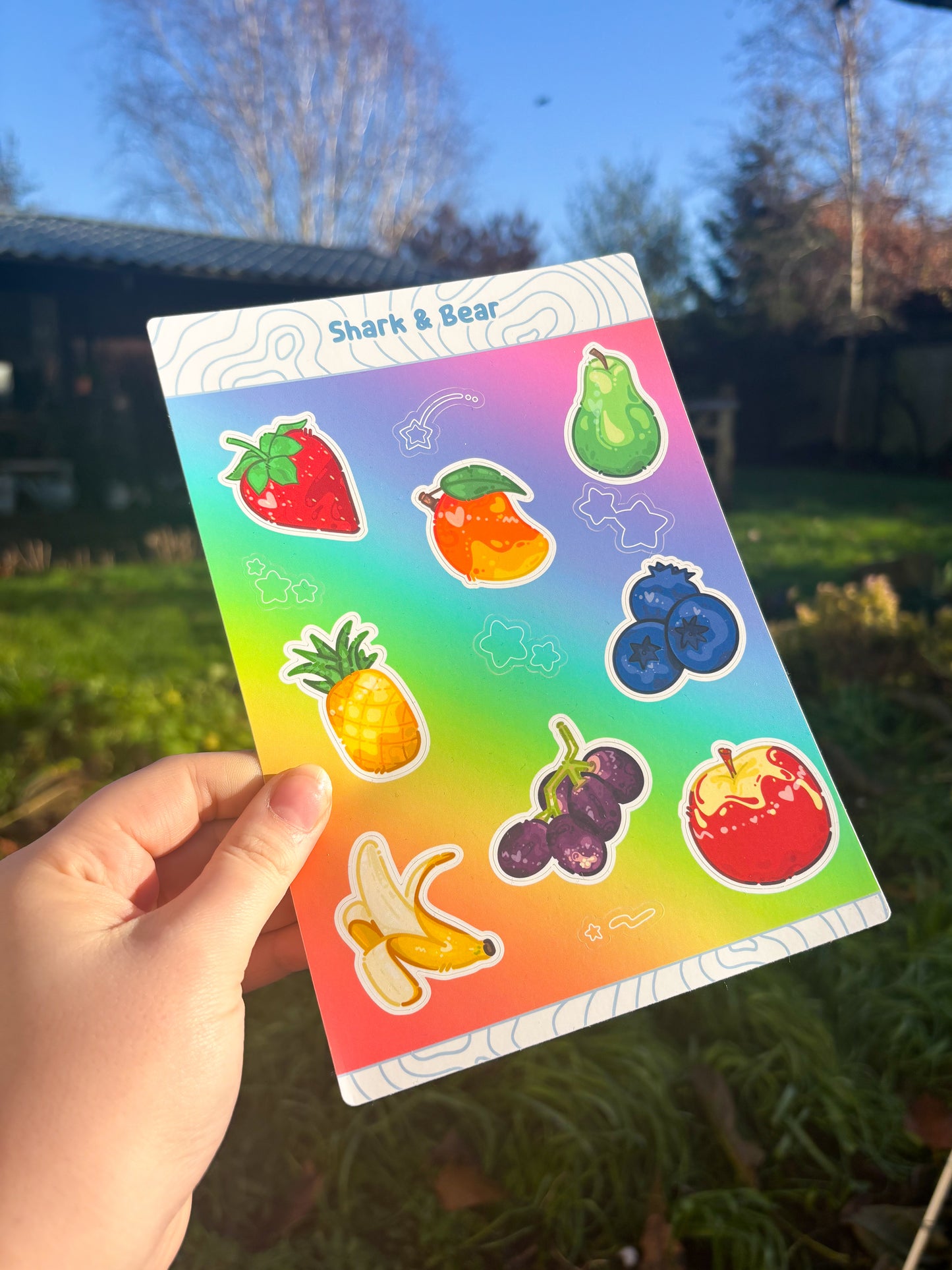 All the Fruit ˗ˋˏ ♡ ˎˊ˗ Sticker Sheet