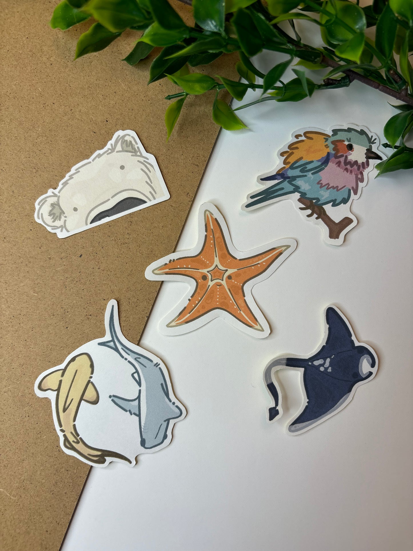 Mantaray ˗ˋˏ ♡ ˎˊ˗ Sticker