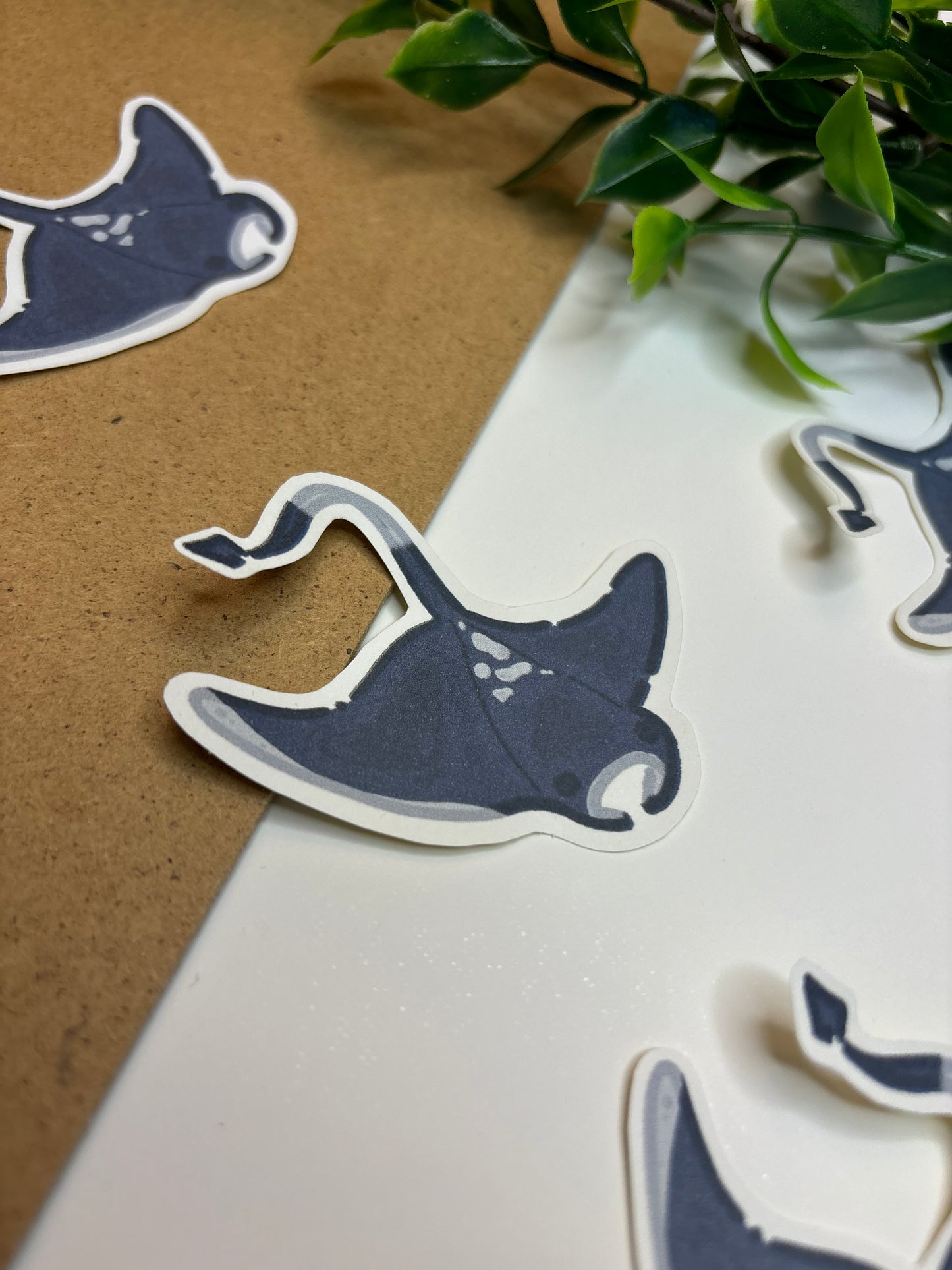 Mantaray ˗ˋˏ ♡ ˎˊ˗ Sticker