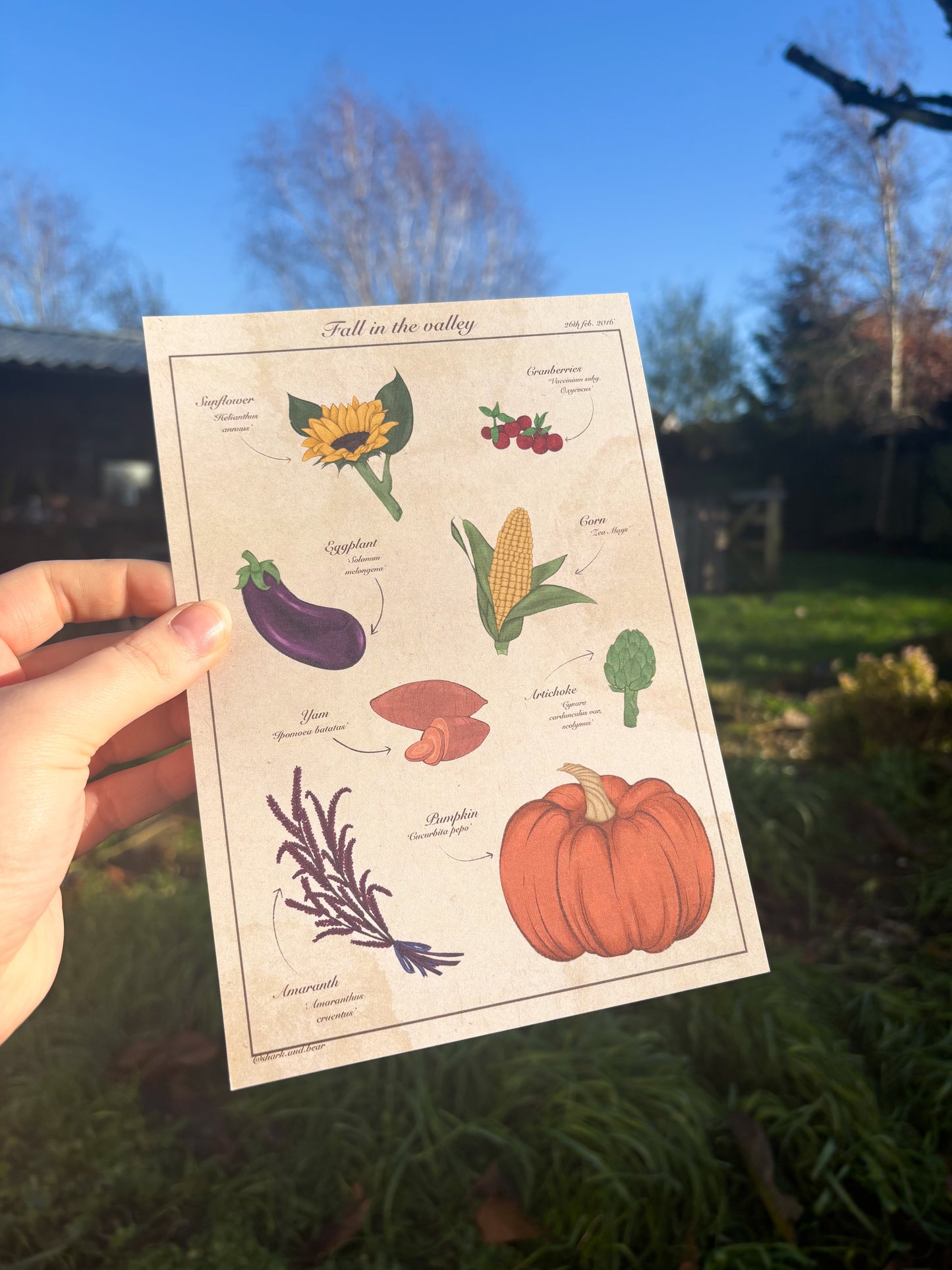 Fall in the Valley ˗ˋˏ ♡ ˎˊ˗ A4/A5 Print