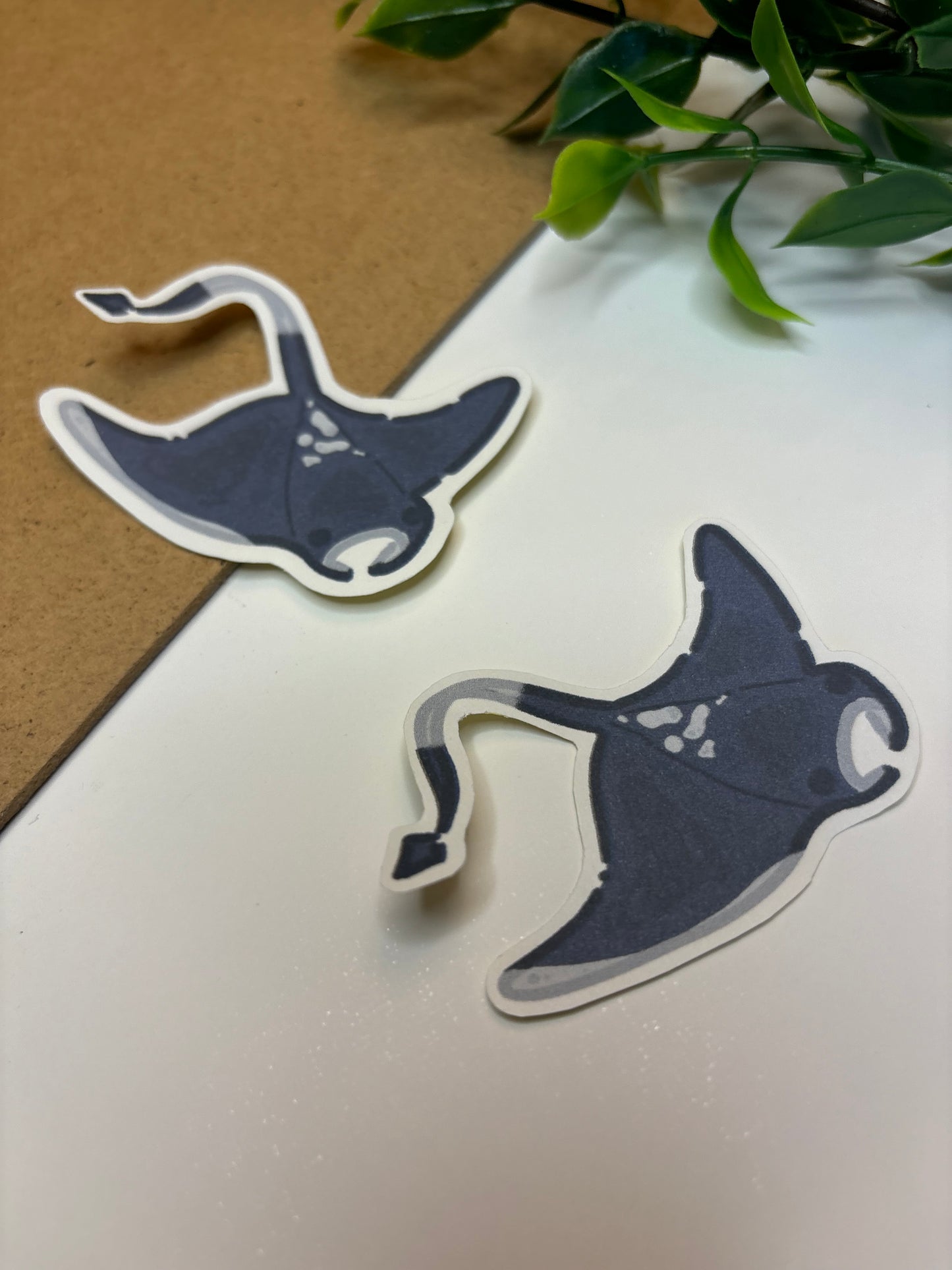 Mantaray ˗ˋˏ ♡ ˎˊ˗ Sticker