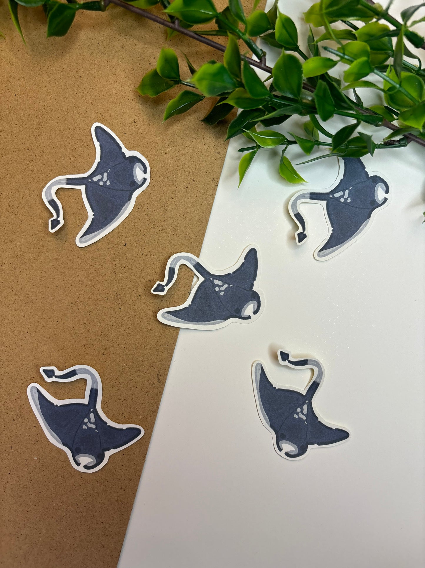 Mantaray ˗ˋˏ ♡ ˎˊ˗ Sticker