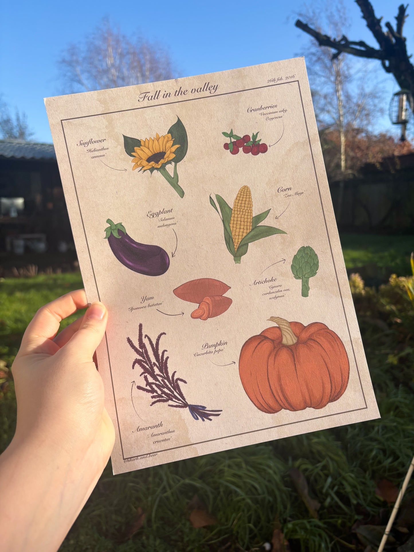 Fall in the Valley  ˗ˋˏ ♡ ˎˊ˗  A4/A5 Print